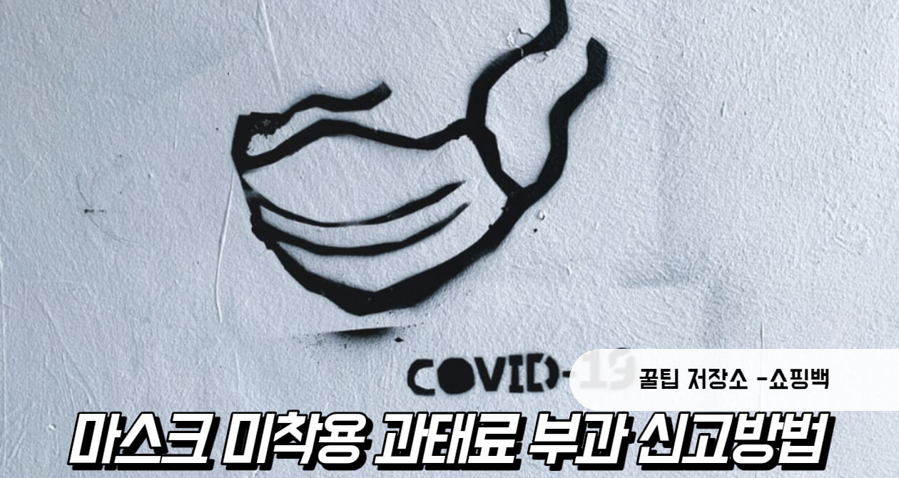 마스크 미착용 과태료 부과 신고방법