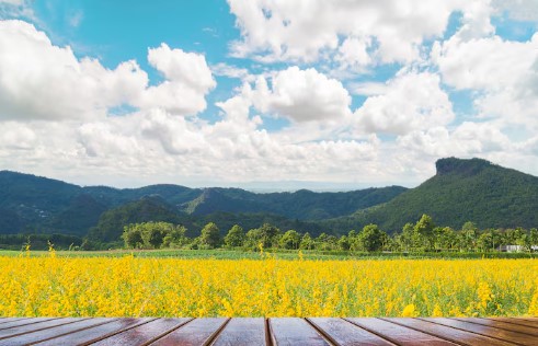 자연과 함께하는 힐링 방법 - 산책, 명상, 숲속 치유
