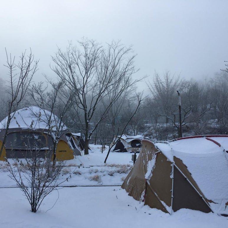 파주 인생캠핑장, 추천캠핑장