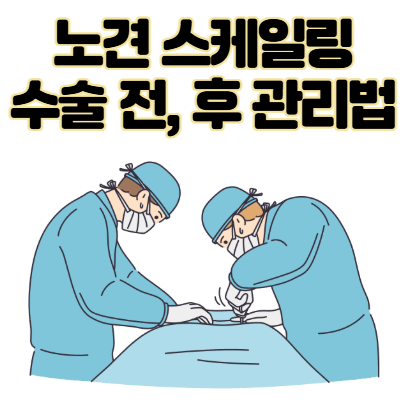 14살 노견 스케일링과 발치 치과 수술 전, 후 관리법