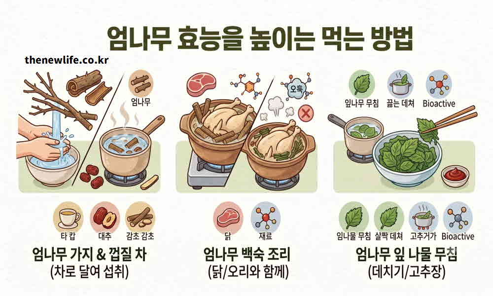 엄나무 효능 높이는 먹는 방법