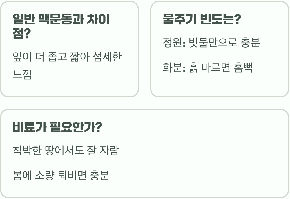생명력 끝판왕, 소엽맥문동 키우기 A to Z