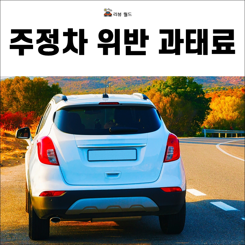 주정차위반-과태료