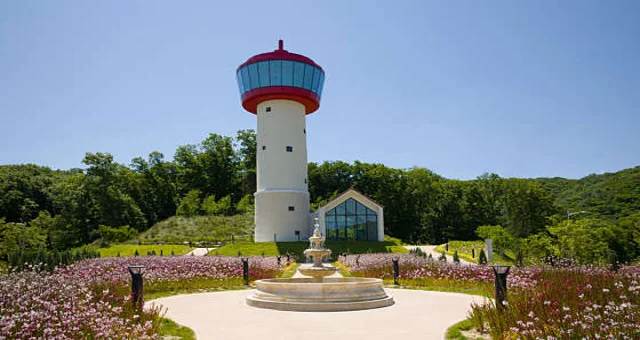 용인자작나무숲펜션