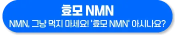 효모 NMN 효능 부작용 복용법
