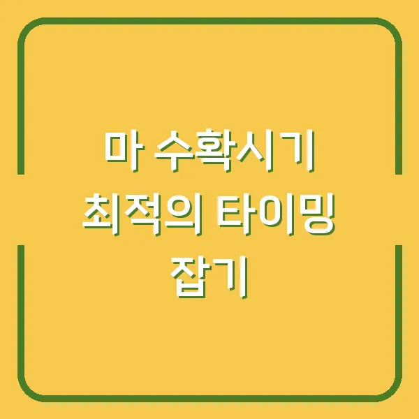 마 수확시기 최적의 타이밍 잡기