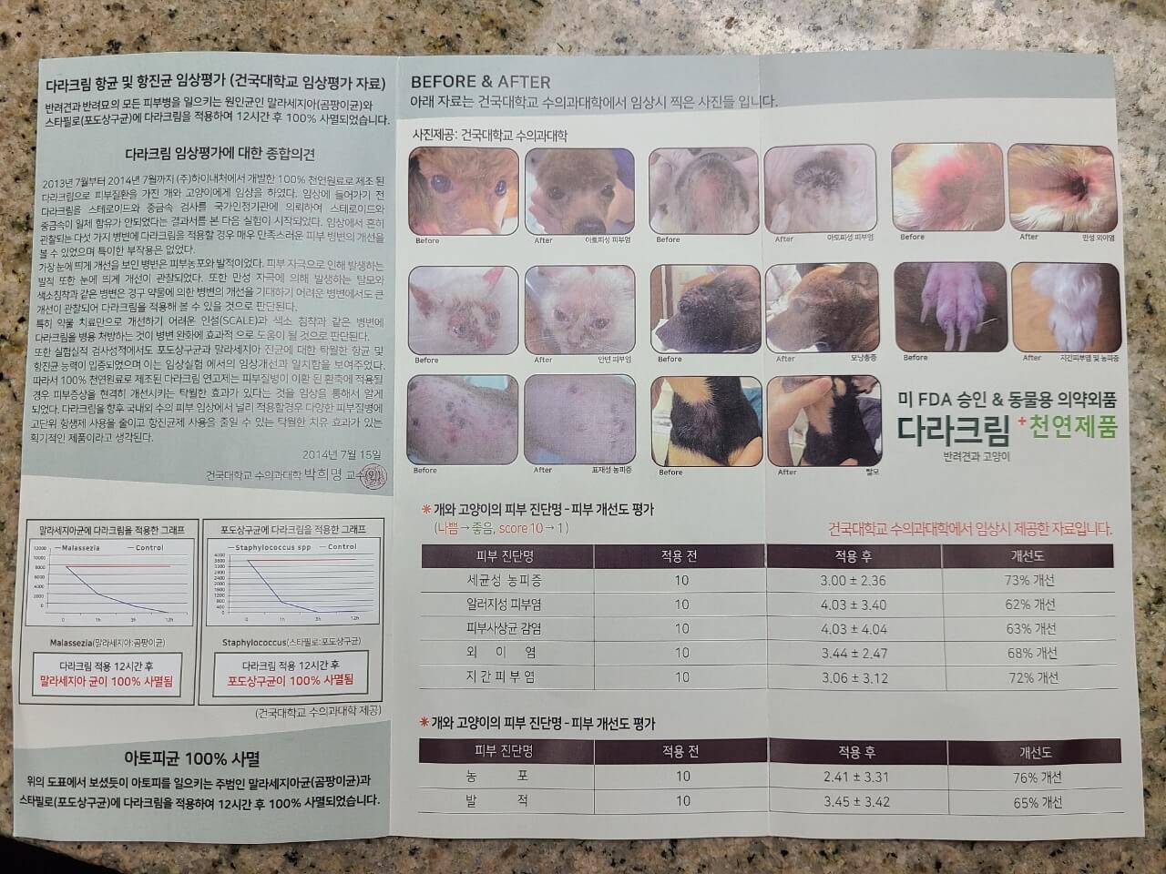 강아지-피부병