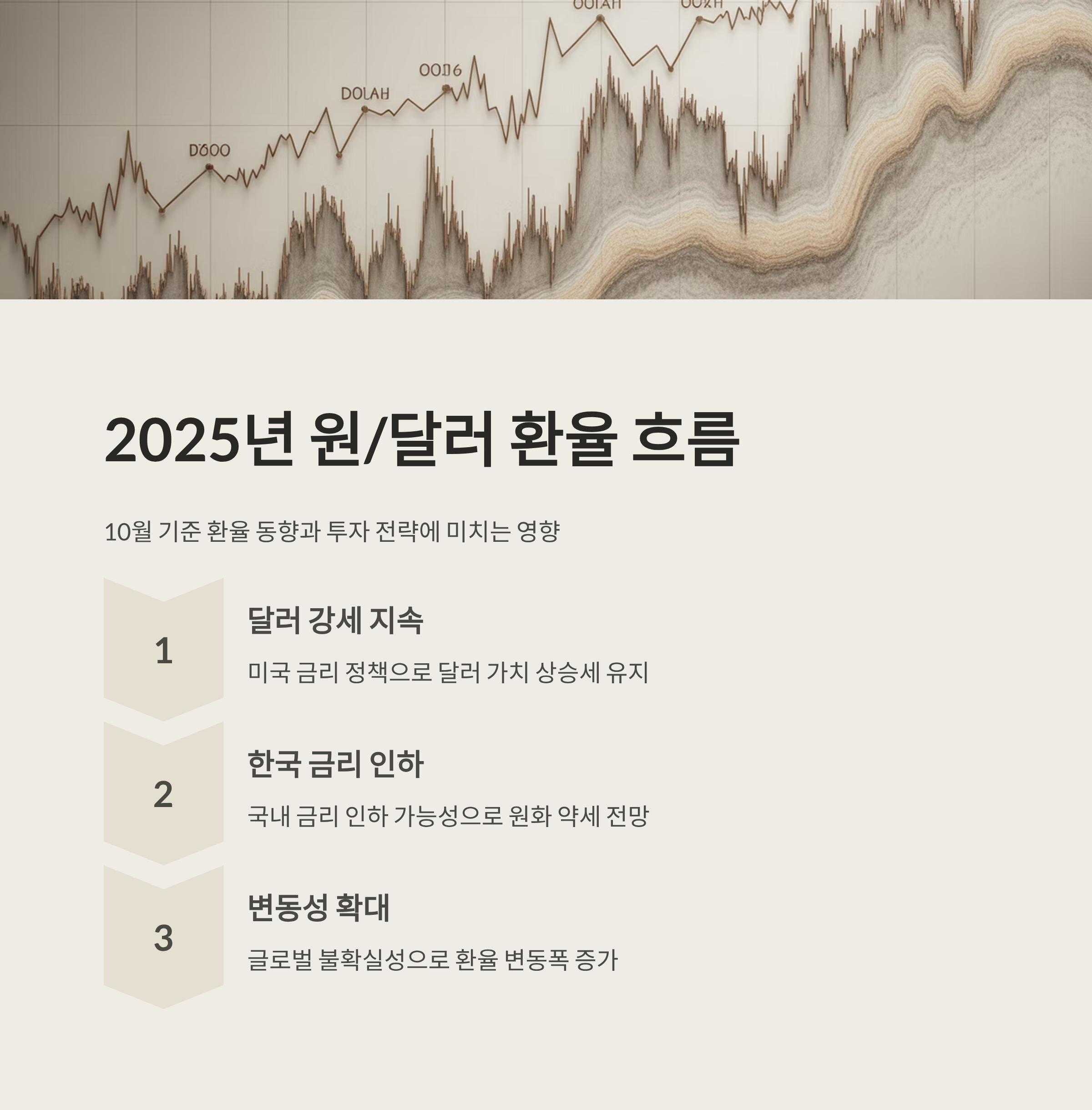 환율리스크 달러와 국내금리 인하