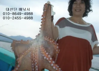 8월 동해 바다 낚시 어종 소개_8