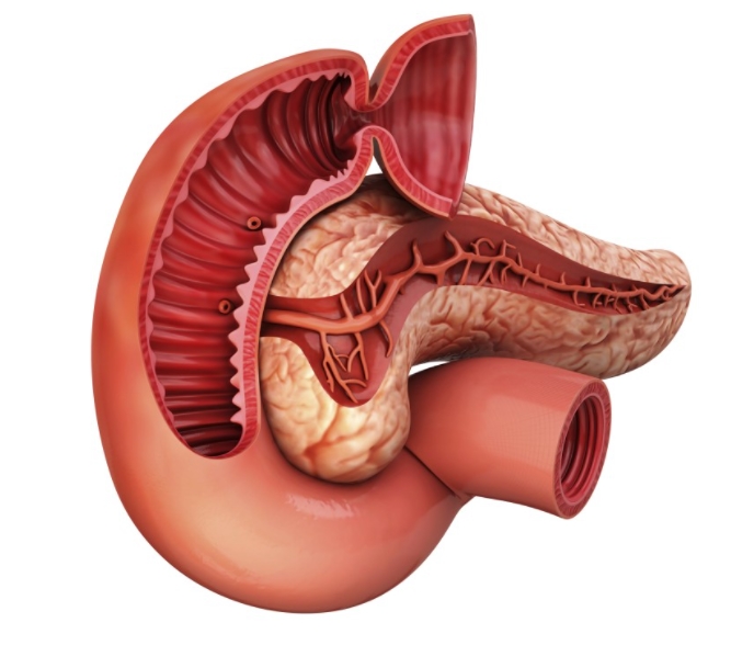 암 등통증 위치