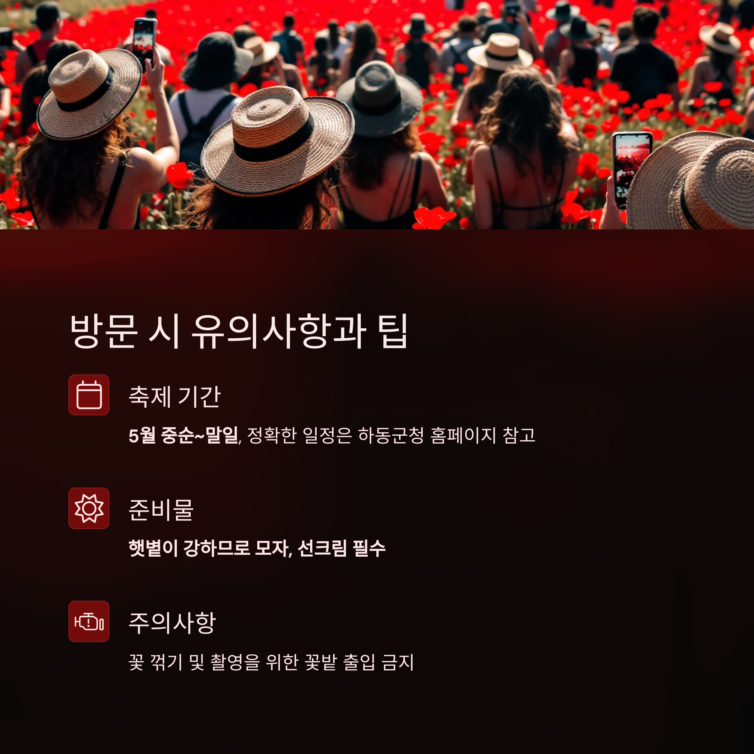 하동 북천 꽃양귀비 축제 안내