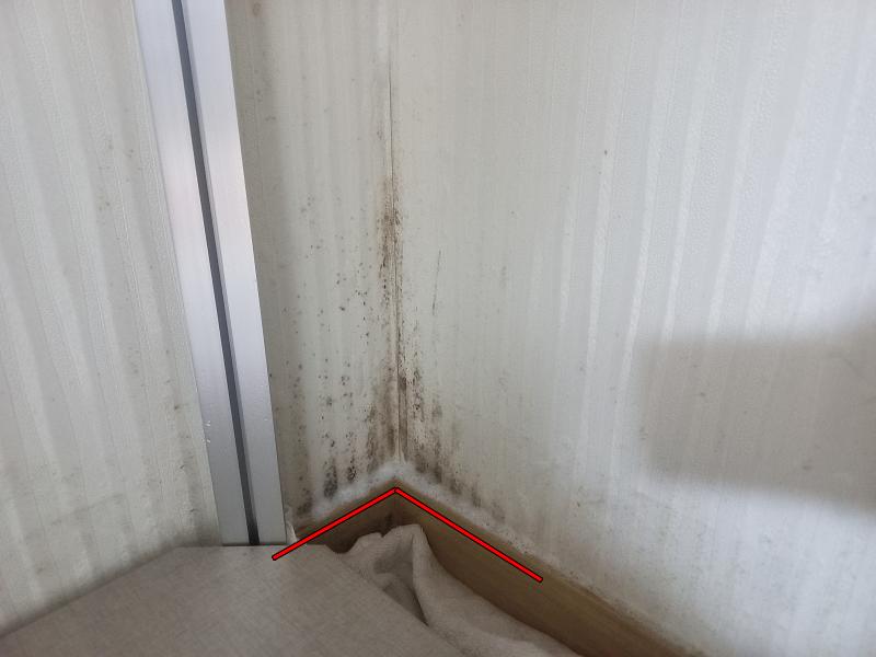 곰팡이 제거제 분사후 거품