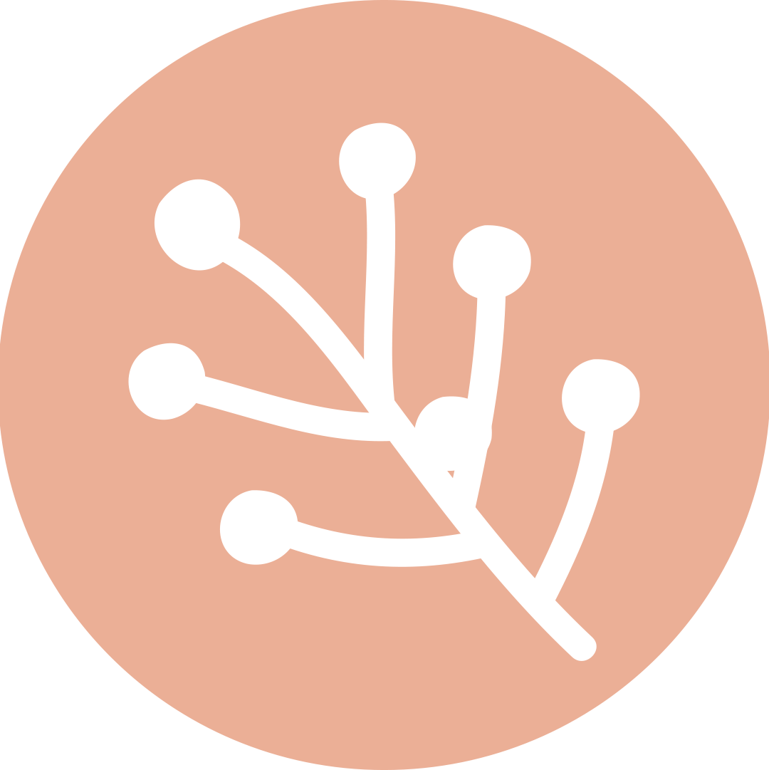 인스타 스토리 하이라이트