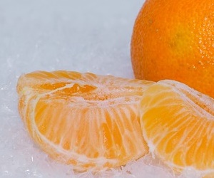 귤 흰껍질 헤스페리딘 다이어트 효과