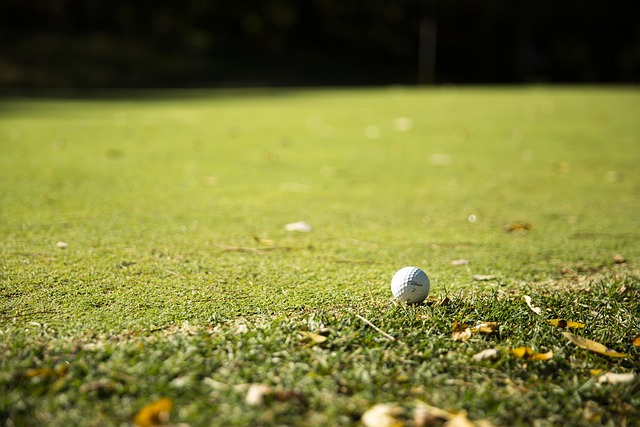 잔디에서 굴러가는 골프공