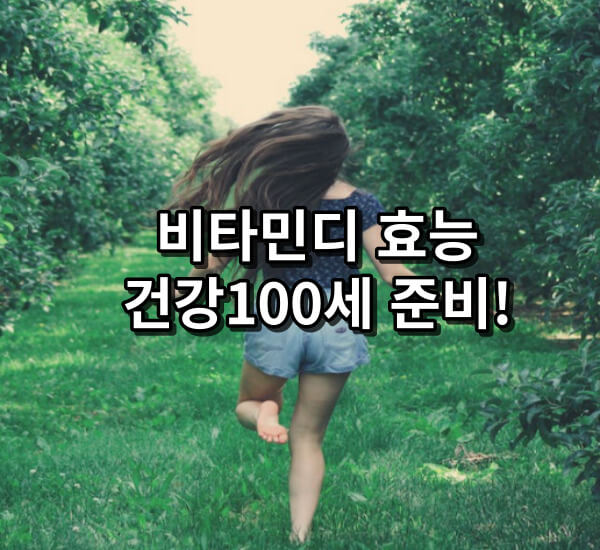 비타민디 효능과 섭취방법