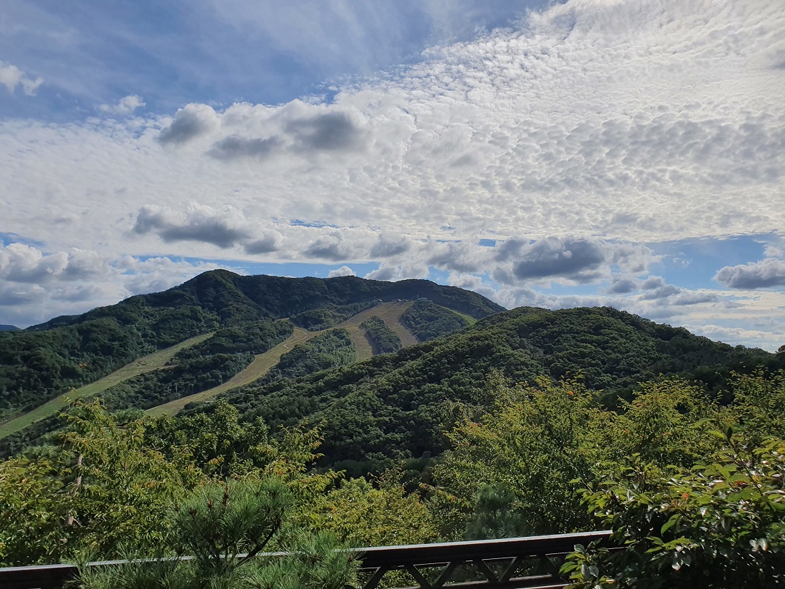 화담숲 가을 단충축제 사전예약 오픈