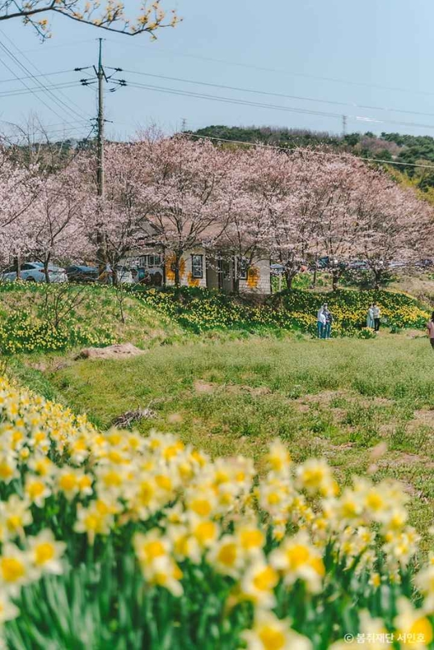 홍성 가볼만한곳 베스트10
