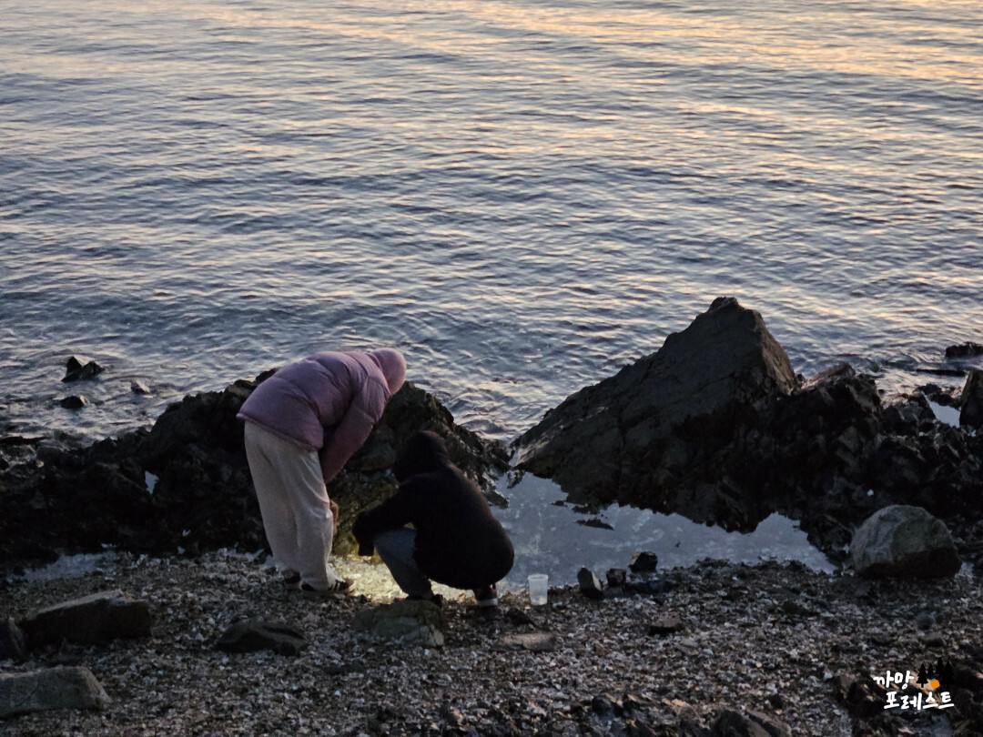 안산 구봉도 낙조 전망대 갯벌놀이