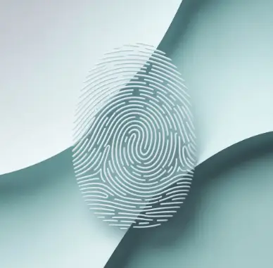 지문
