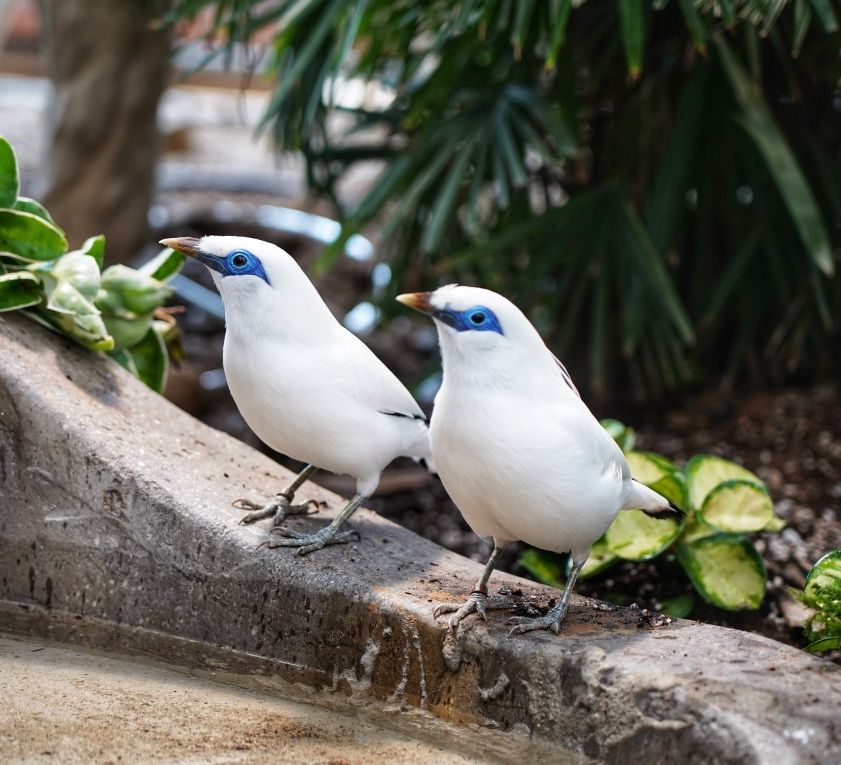 가평베고니아새정원