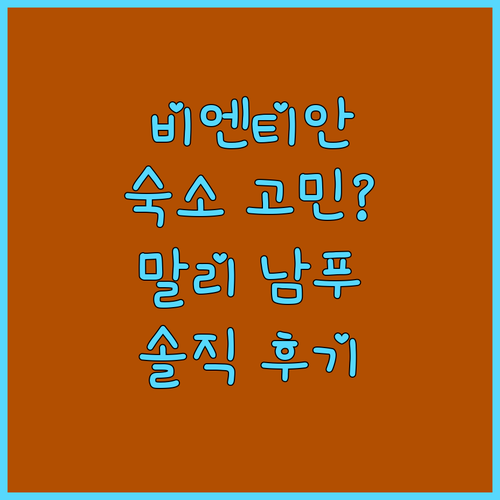 비엔티안 여행, 숙소 고민 끝! 말리