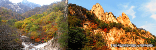 단풍여행 당일 단풍버스여행