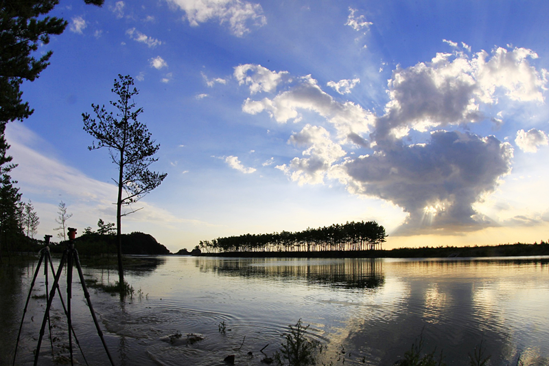 태안 1인 가구에 맞는 동네 추천 &mdash; 실제 생활 편의성 기준으로 보는 자취 지역