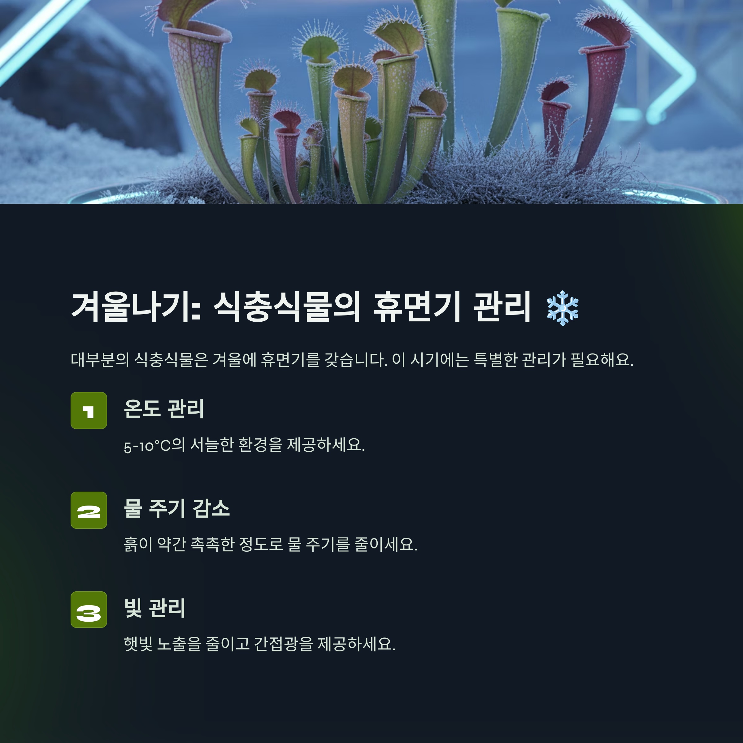 겨울나기: 식충식물의 휴면기 관리