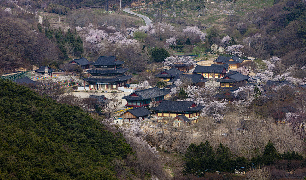 김제 가볼만한 곳