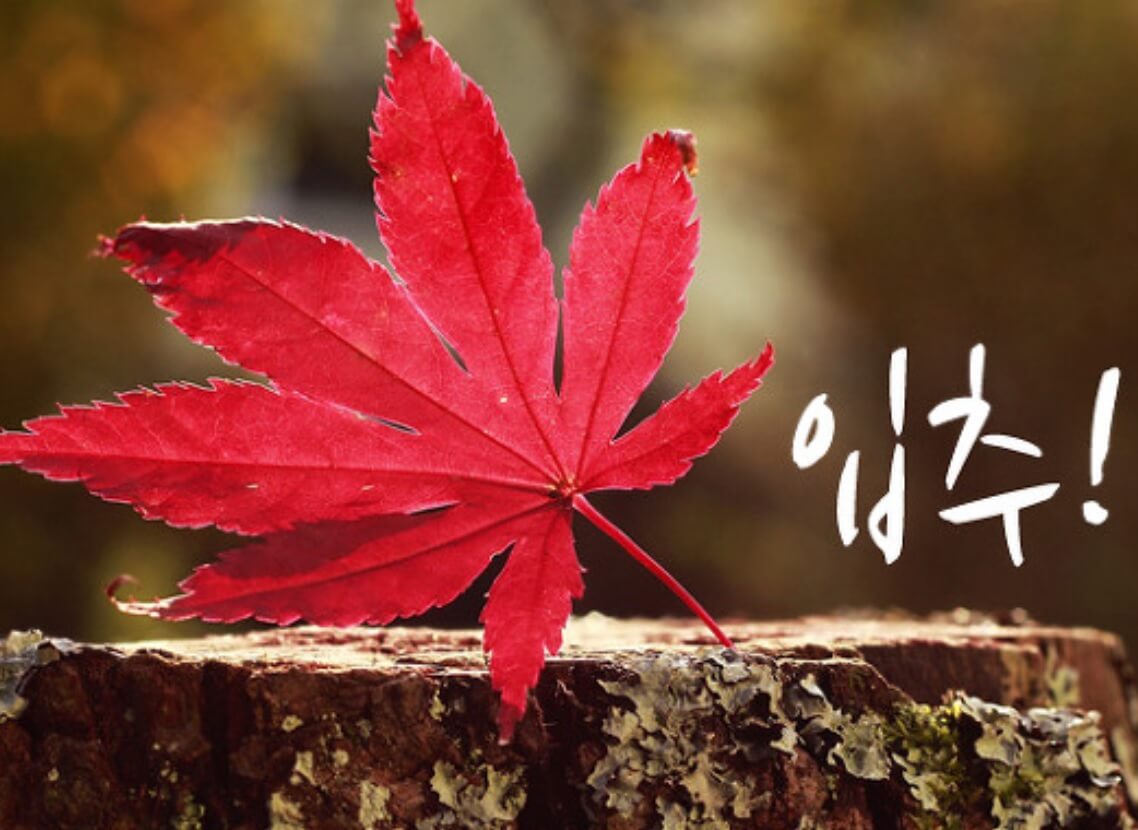 가을 절기 입추