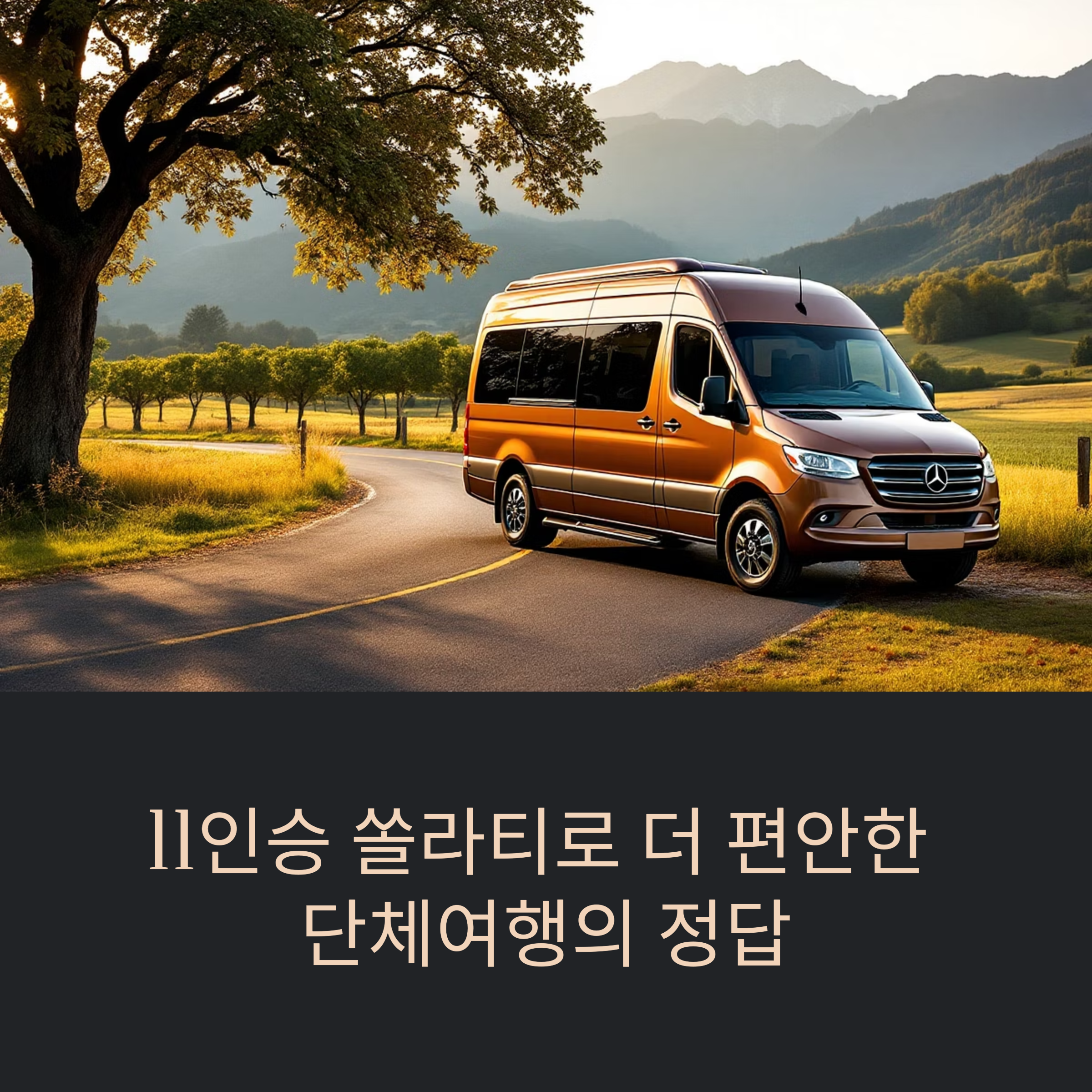담양 단체여행 완벽 가이드