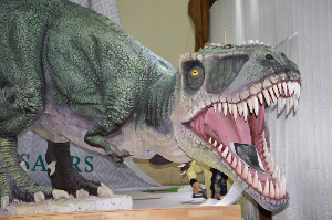 몽골 여행 추천 공룡 중앙 박물관