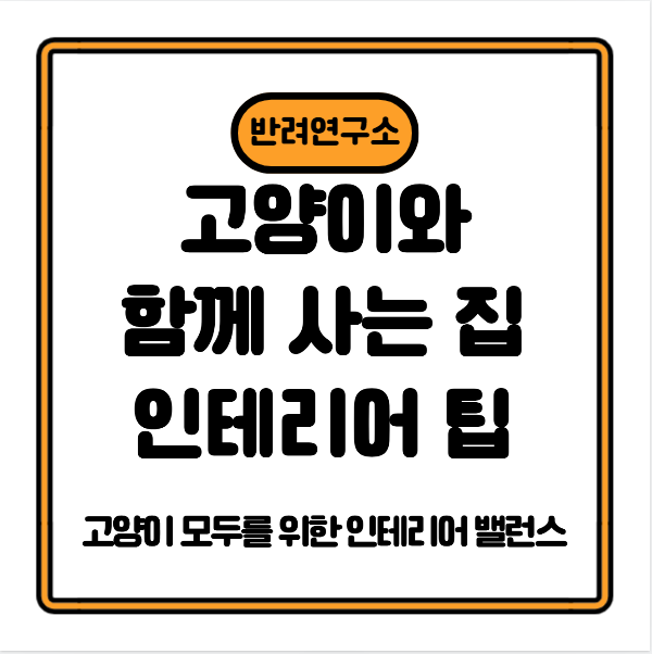 고양이와 함께 사는 집 인테리어 팁
