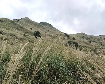 황매산 억새축제_13