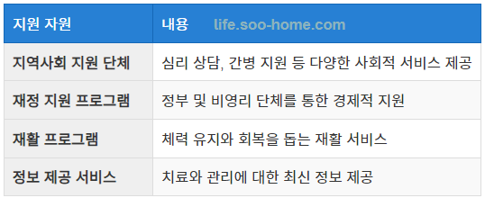 사회적 지원 자원 활용 방안