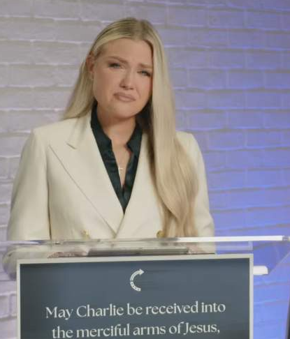 찰리 커크 프로필, 총격사건, 범인신원, 동기와 배경