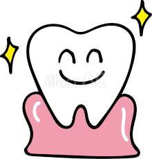 잇몸 염증 치료제 베스트 5