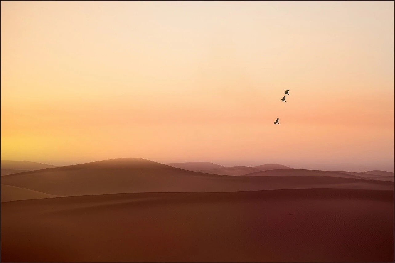 가족관계증명서 상세