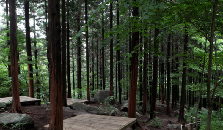 축령산 등산코스