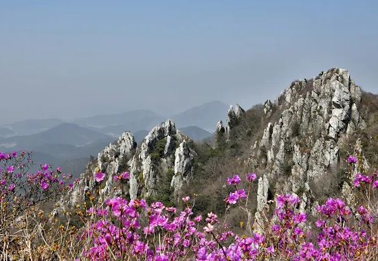 주작산자연휴양림