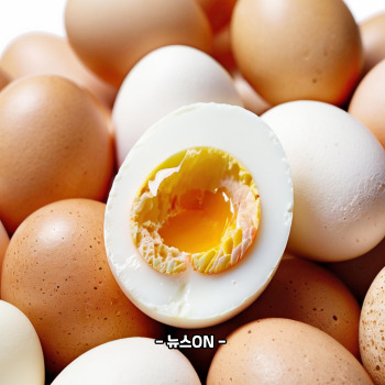 알부민 많은 음식