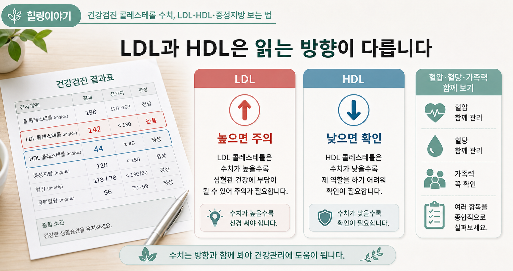 LDL HDL 차이를 높으면 주의 낮으면 확인으로 비교한 건강검진 결과표 이미지