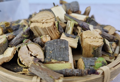 마가목 나무 사진