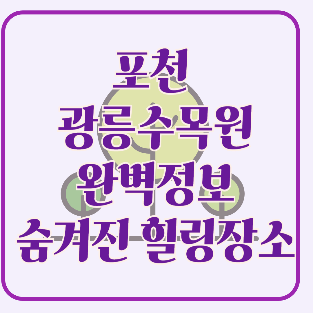 포천 광릉수목원! 숨겨진 힐링 명소, 포천 광릉수목원 완전 정복
