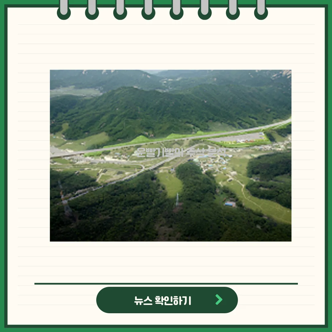 특수건설 뉴스