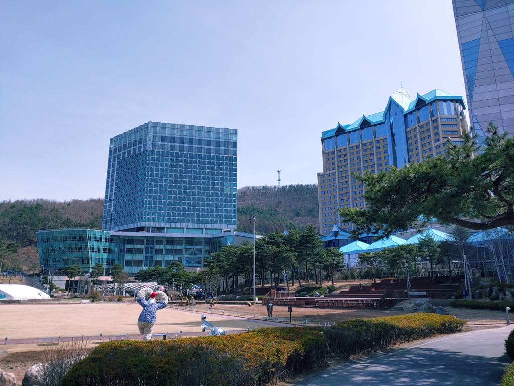 하이원 여행