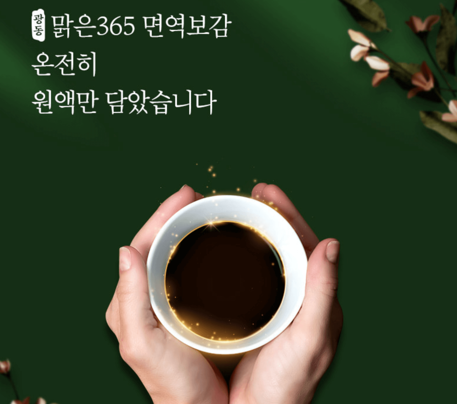 면역보감 원액