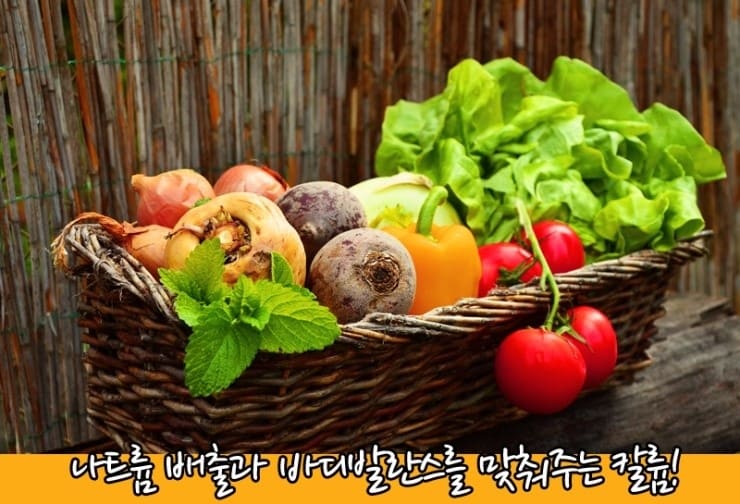 야체-바구니-안-여러-채소