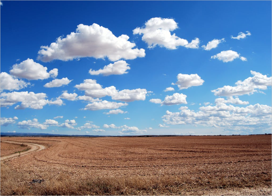 수능 시험 시간표, 수시전형 날짜 및 준비물과 유의사항